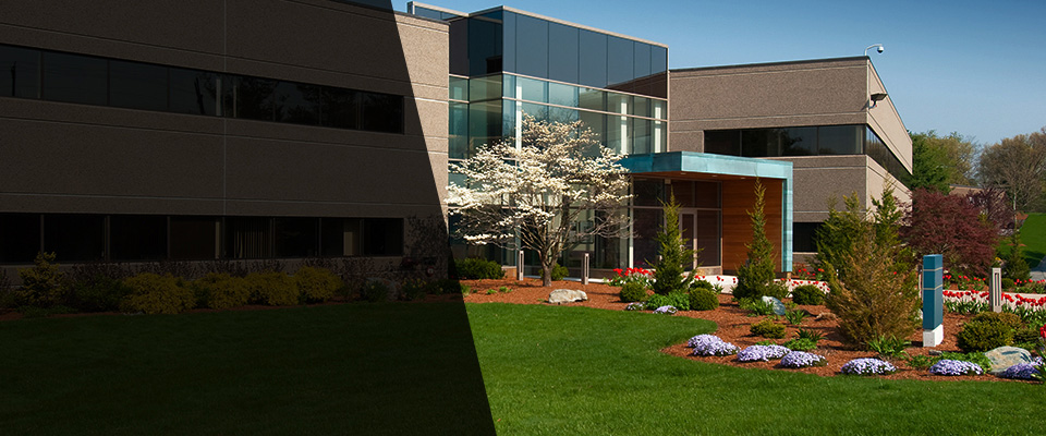 Lula Landscapers