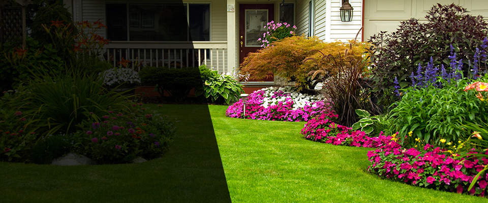 Lula Landscapers