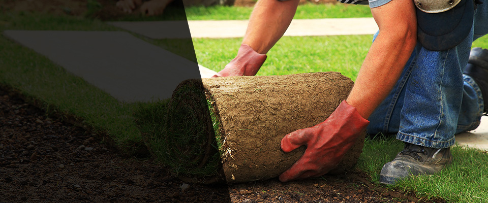 Lula Landscapers